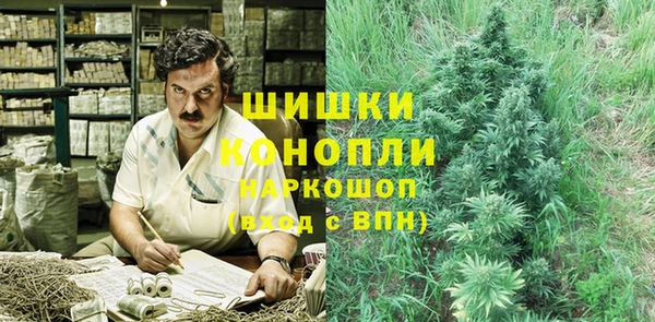 прущие крисы Надым
