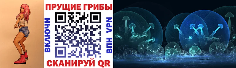 Псилоцибиновые грибы Psilocybe  Купить где  Рязань